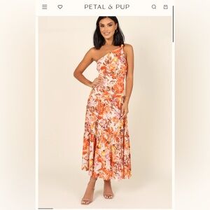Petal & Pup Fall Floral Asymmetric Dress